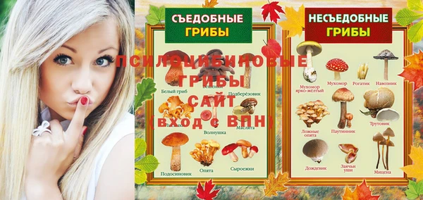 шишки Алзамай