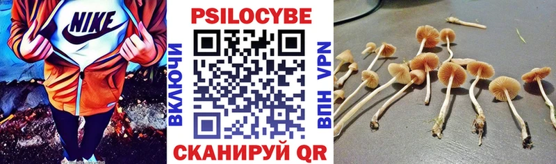 blacksprut ссылки  Камышлов  Галлюциногенные грибы Magic Shrooms  цены наркотик 